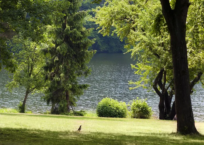 Nova Zivohost * Křečovice